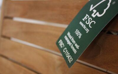 FSC Certification: Why is it important?